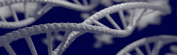 DNA