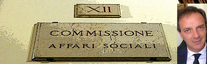 XII Commissione Affari Sociali