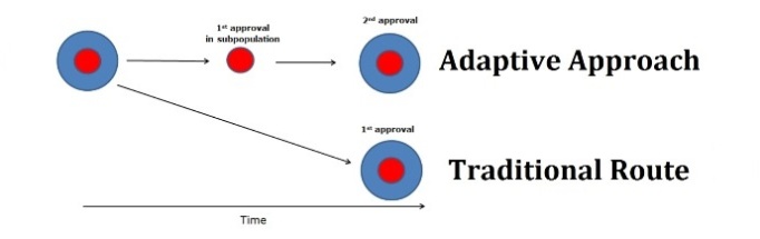 adaptive approach