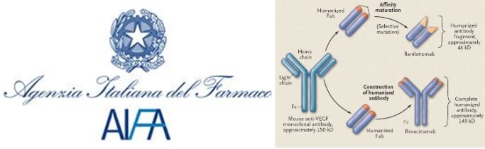 bevacizumab-ranibizumab