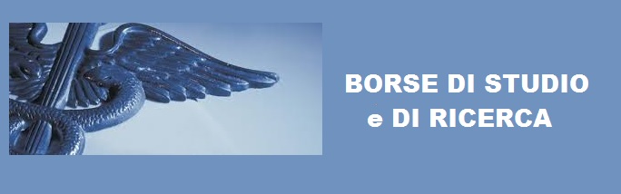 borse studio e ricerca