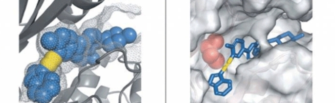 ponatinib