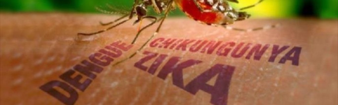 zika