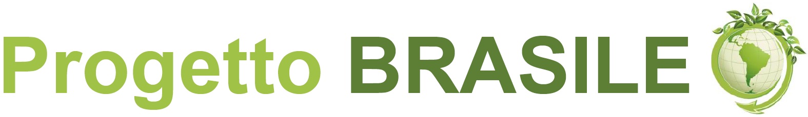 banner lungo progetto brasile